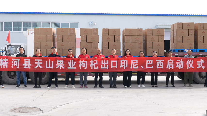 精河县天山果业枸杞出口印尼、巴西启动仪式