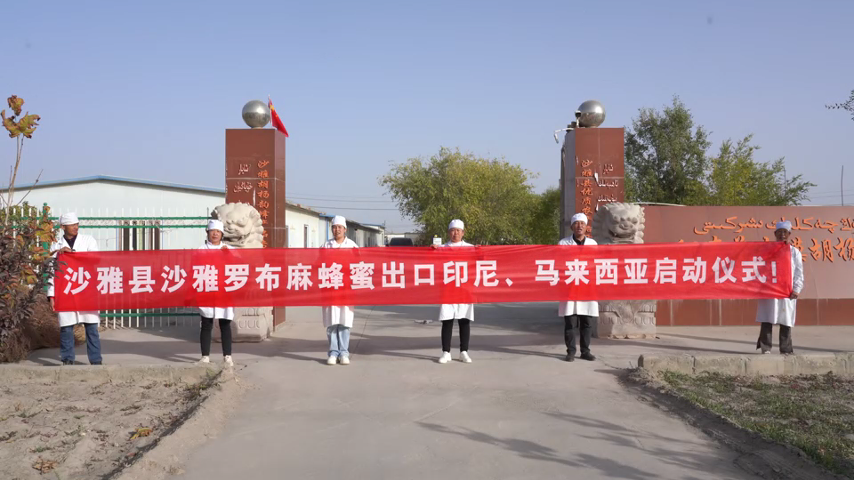 沙雅县沙雅罗布麻蜂蜜走进印尼、马来西亚启动仪式！